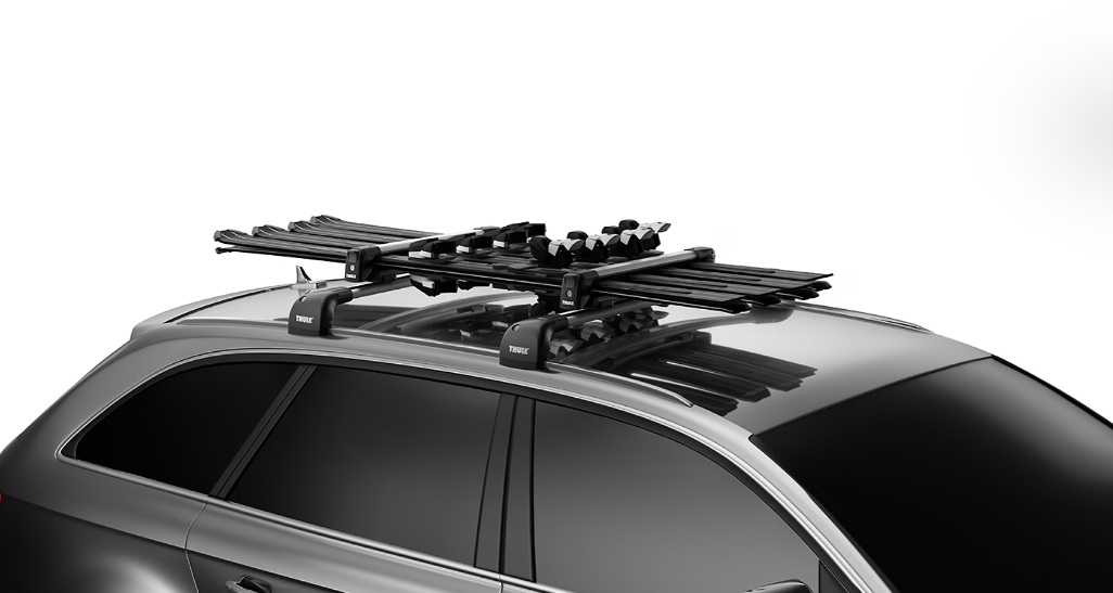 Thule SnowPack L